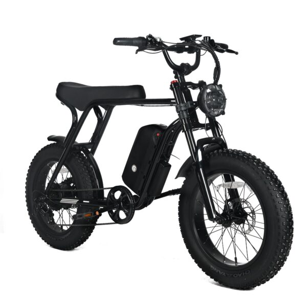 Electric Mountain Bike for Adults | 20 x 4.0 Fat Tires. 1000W Motor. 48V 20Ah Removable Battery. Max Speed 45MPH. Shi Mano 7-Speed for Off-Road Adventures - Image 7