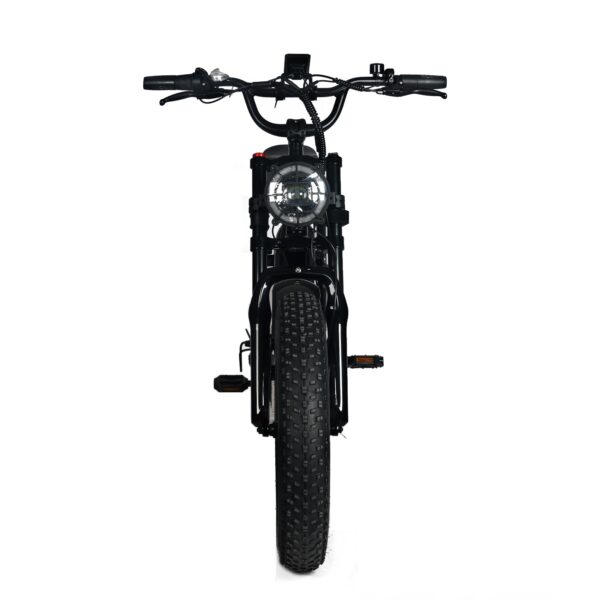Electric Mountain Bike for Adults | 20 x 4.0 Fat Tires. 1000W Motor. 48V 20Ah Removable Battery. Max Speed 45MPH. Shi Mano 7-Speed for Off-Road Adventures - Image 8