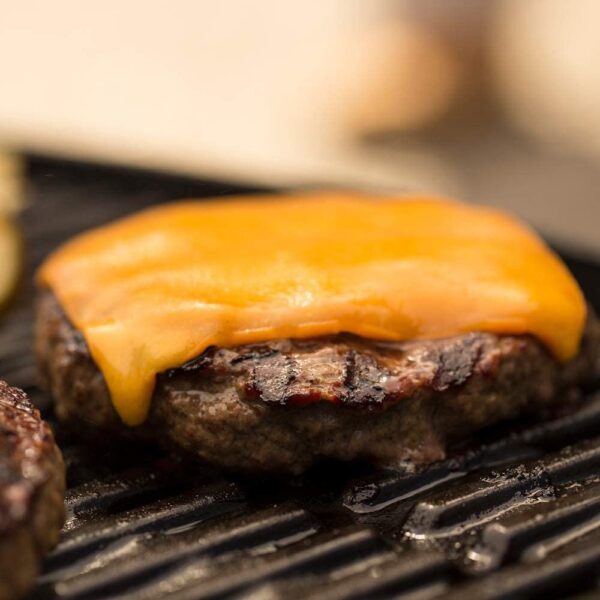 Blue 51080001 Q1200 Liquid Propane Grill - Image 3