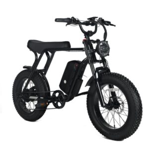 Electric Mountain Bike for Adults | 20 x 4.0 Fat Tires. 1000W Motor. 48V 20Ah Removable Battery. Max Speed 45MPH. Shi Mano 7-Speed for Off-Road Adventures