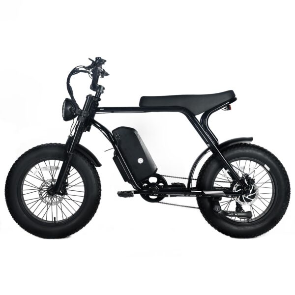 Electric Mountain Bike for Adults | 20 x 4.0 Fat Tires. 1000W Motor. 48V 20Ah Removable Battery. Max Speed 45MPH. Shi Mano 7-Speed for Off-Road Adventures - Image 10